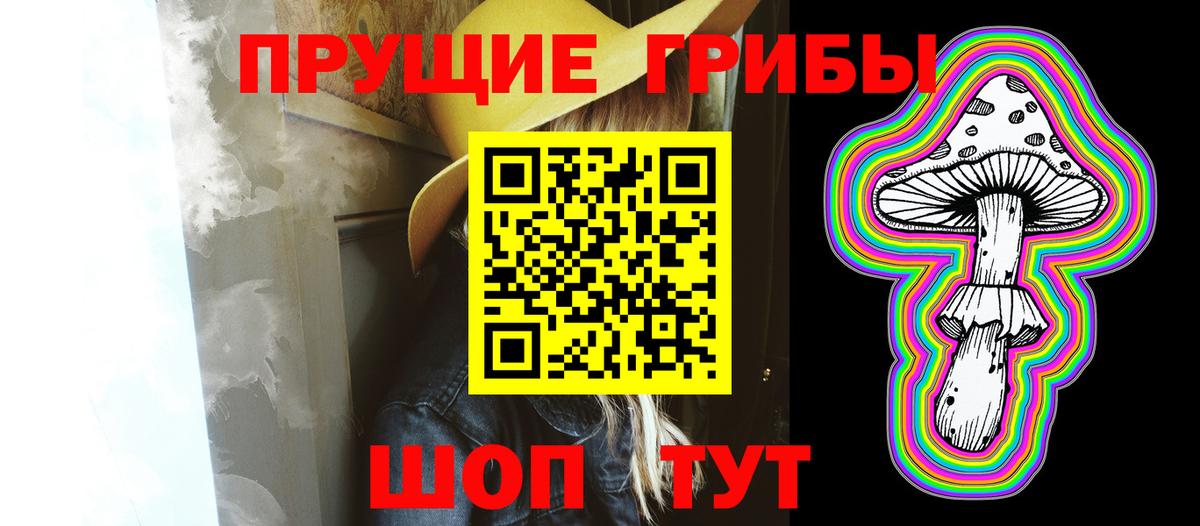 Бор  Псилоцибиновые грибы GOLDEN TEACHER  Вход с VPN  Галлюциногенные грибы Cubensis 